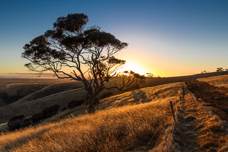 DBP_201811__kangarooIsland_097-2.jpg